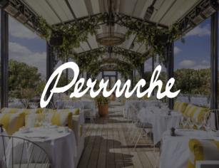 Perruche